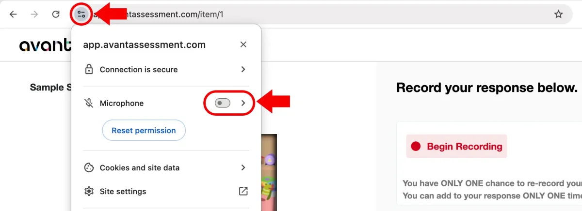 Check mic settings in Chrome